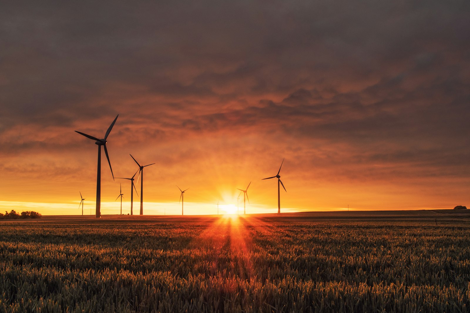 PPA Value & Certainty Drivers: Where Renewable Revenue is Won or Lost